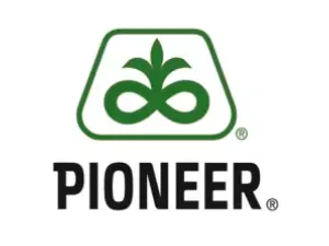 Logo Pioneer